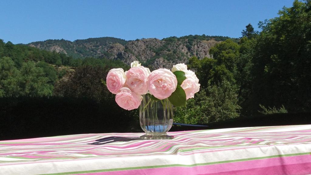 Chateau De Durianne Le Monteil  Dış mekan fotoğraf