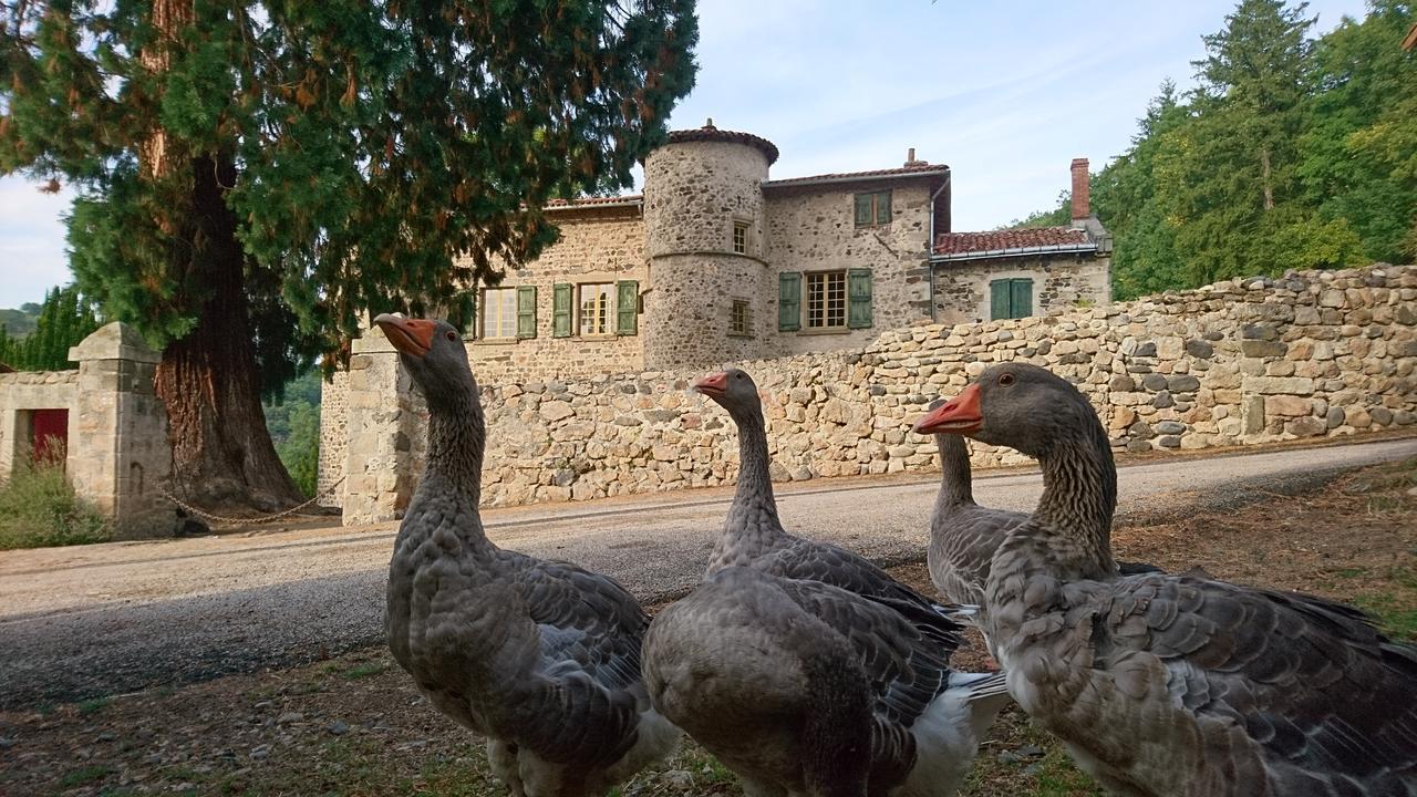Chateau De Durianne Le Monteil  Dış mekan fotoğraf