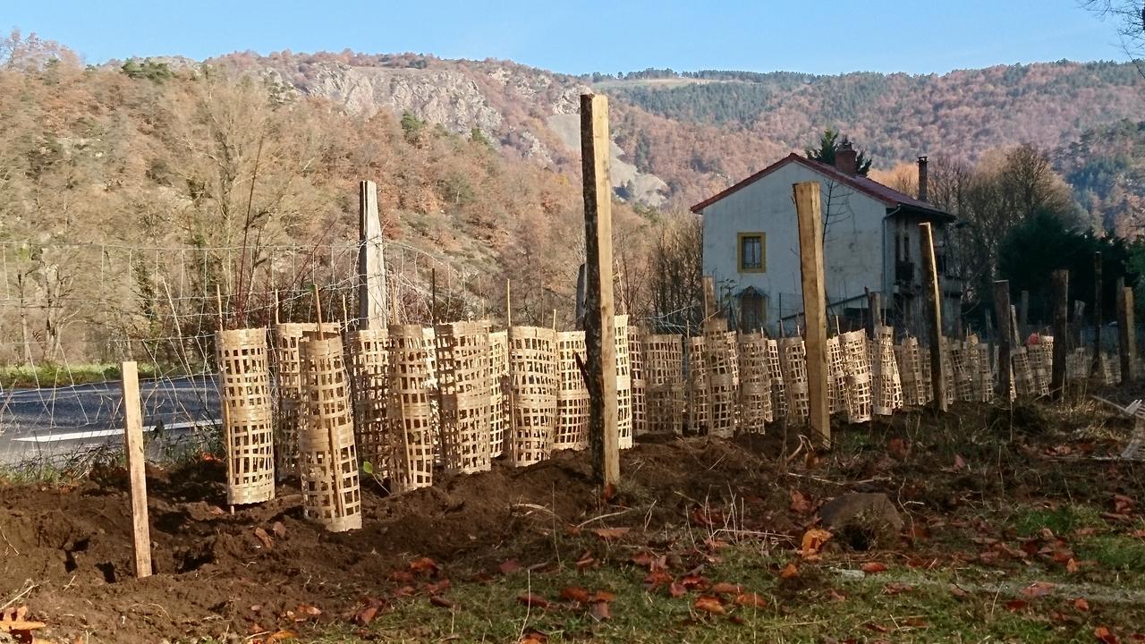 Chateau De Durianne Le Monteil  Dış mekan fotoğraf