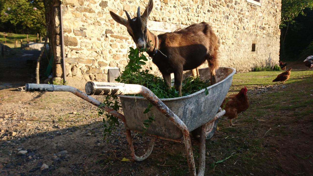Chateau De Durianne Le Monteil  Dış mekan fotoğraf