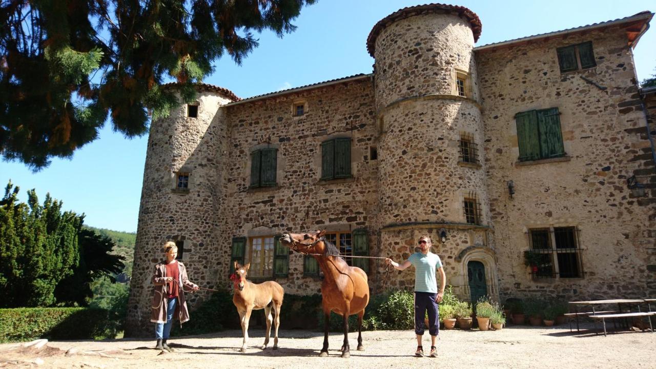 Chateau De Durianne Le Monteil  Dış mekan fotoğraf